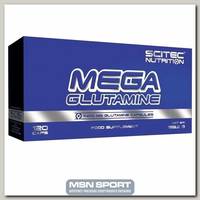 Mega Glutamine