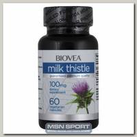 Milk Thistle